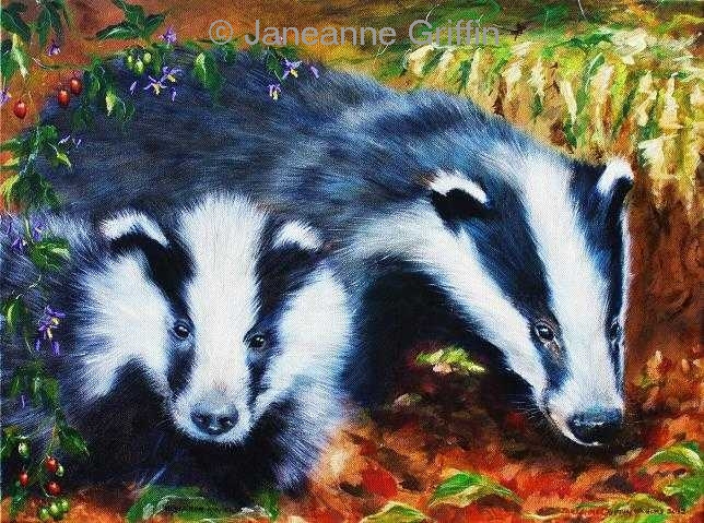 Two badgers